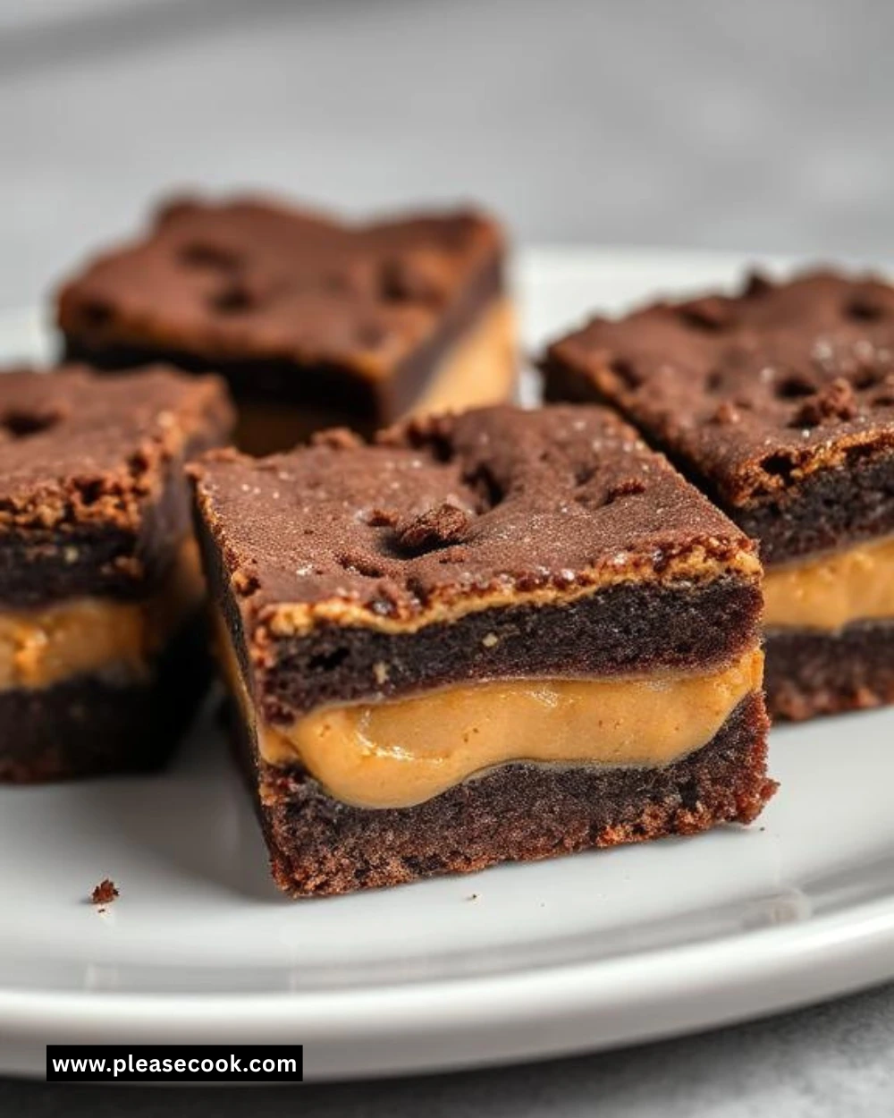 Chocolate Cookie Peanut Butter Delight close up showing texture and detail