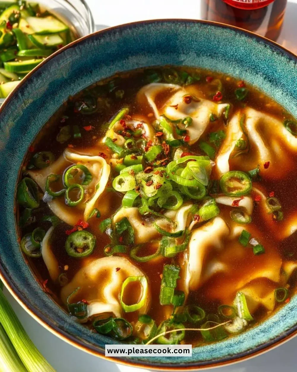 A comforting bowl of Gyoza Soup with dumplings and vegetables