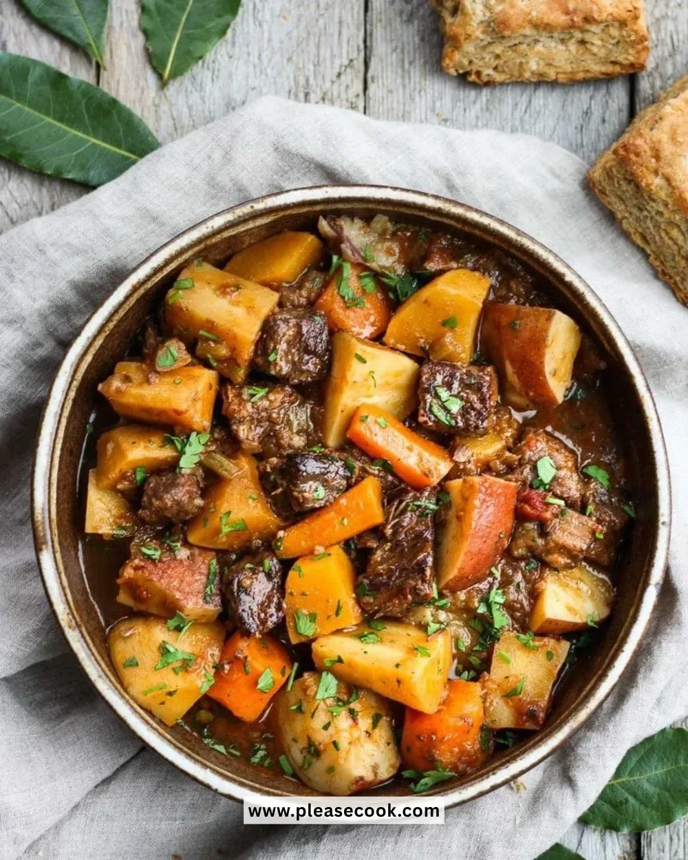 Instant Pot beef stew with root vegetables in a bowl, garnished with herbs.