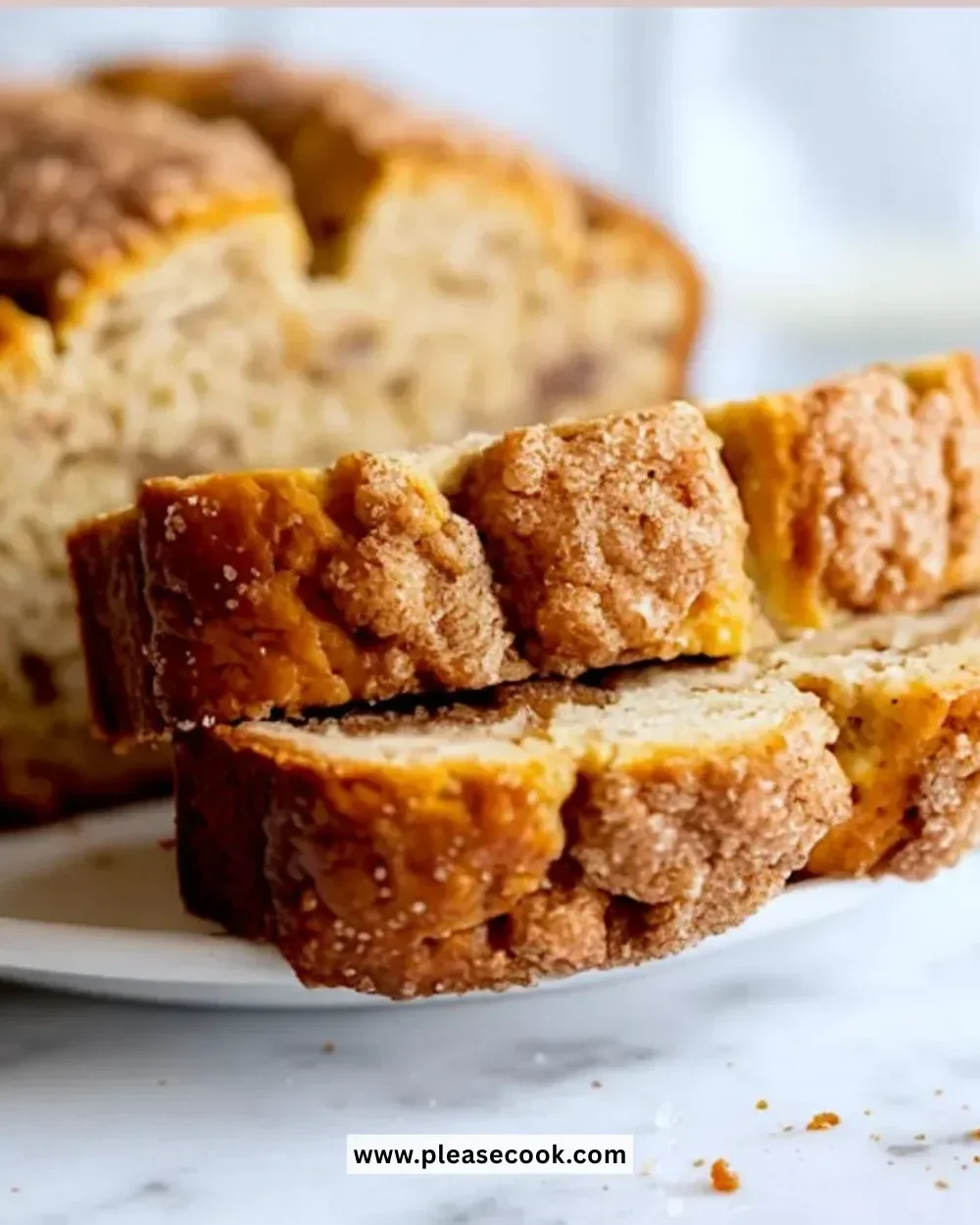 Freshly baked snickerdoodle bread with cinnamon and sugar topping