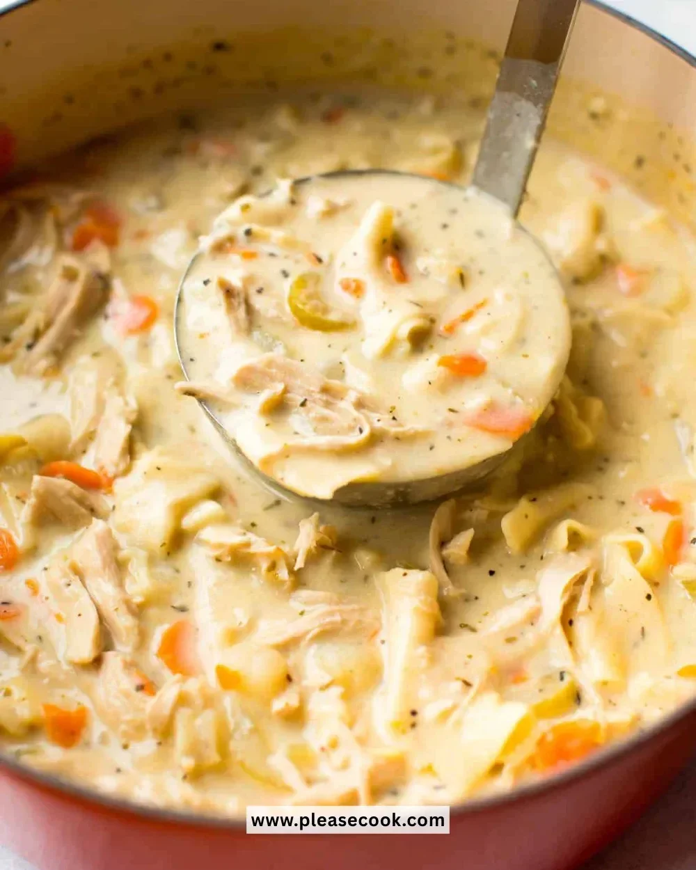 bowl of creamy chicken noodle soup with vegetables and herbs