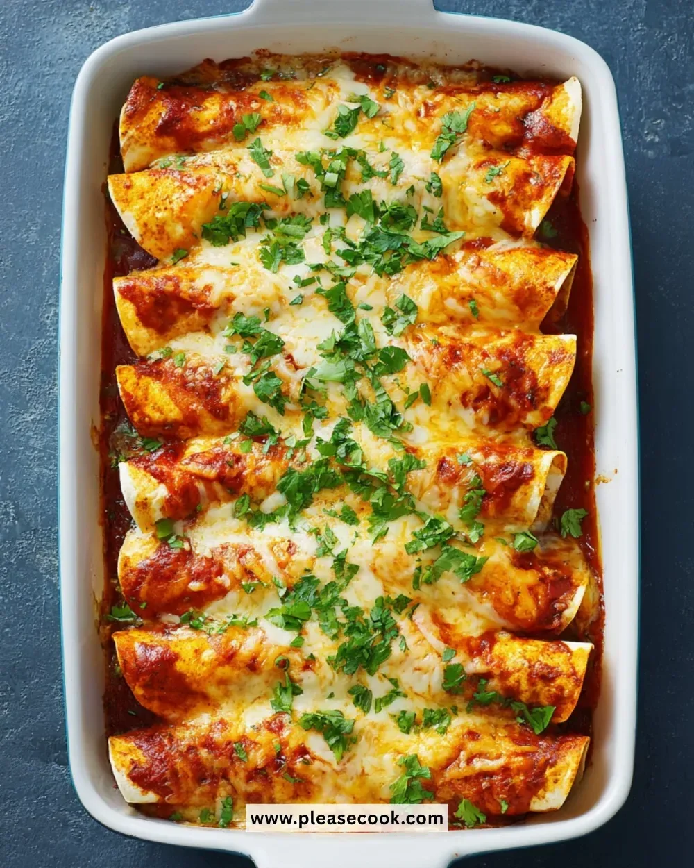Delicious shrimp enchiladas topped with cheese and fresh ingredients.