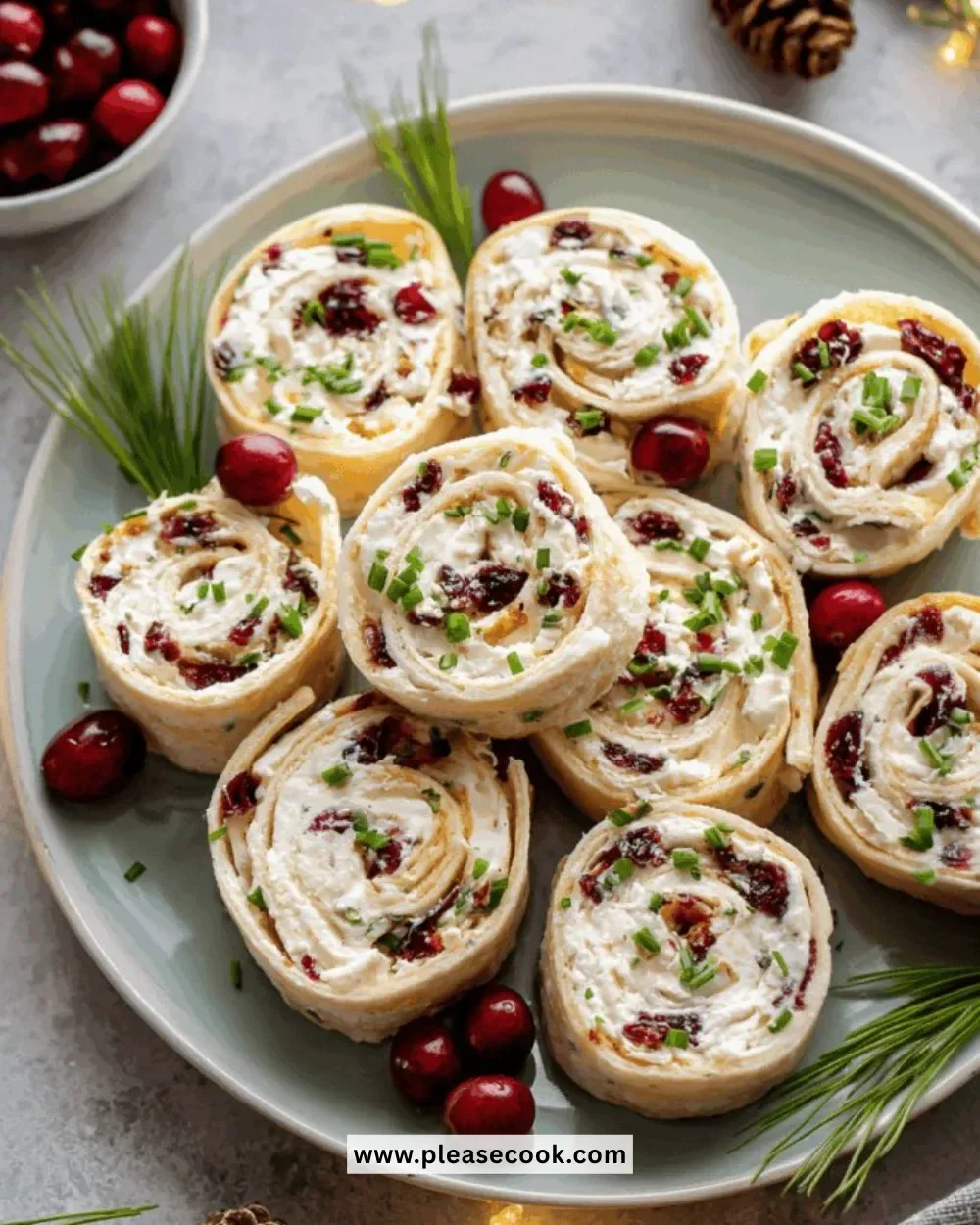 Savory Christmas Cranberry Roll Ups served on a festive plate