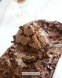Delicious chocolate avocado ice cream in a bowl, perfect for a keto diet.