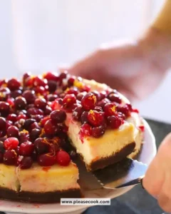 Delicious slice of Cranberry Orange Cheesecake with vibrant garnishes