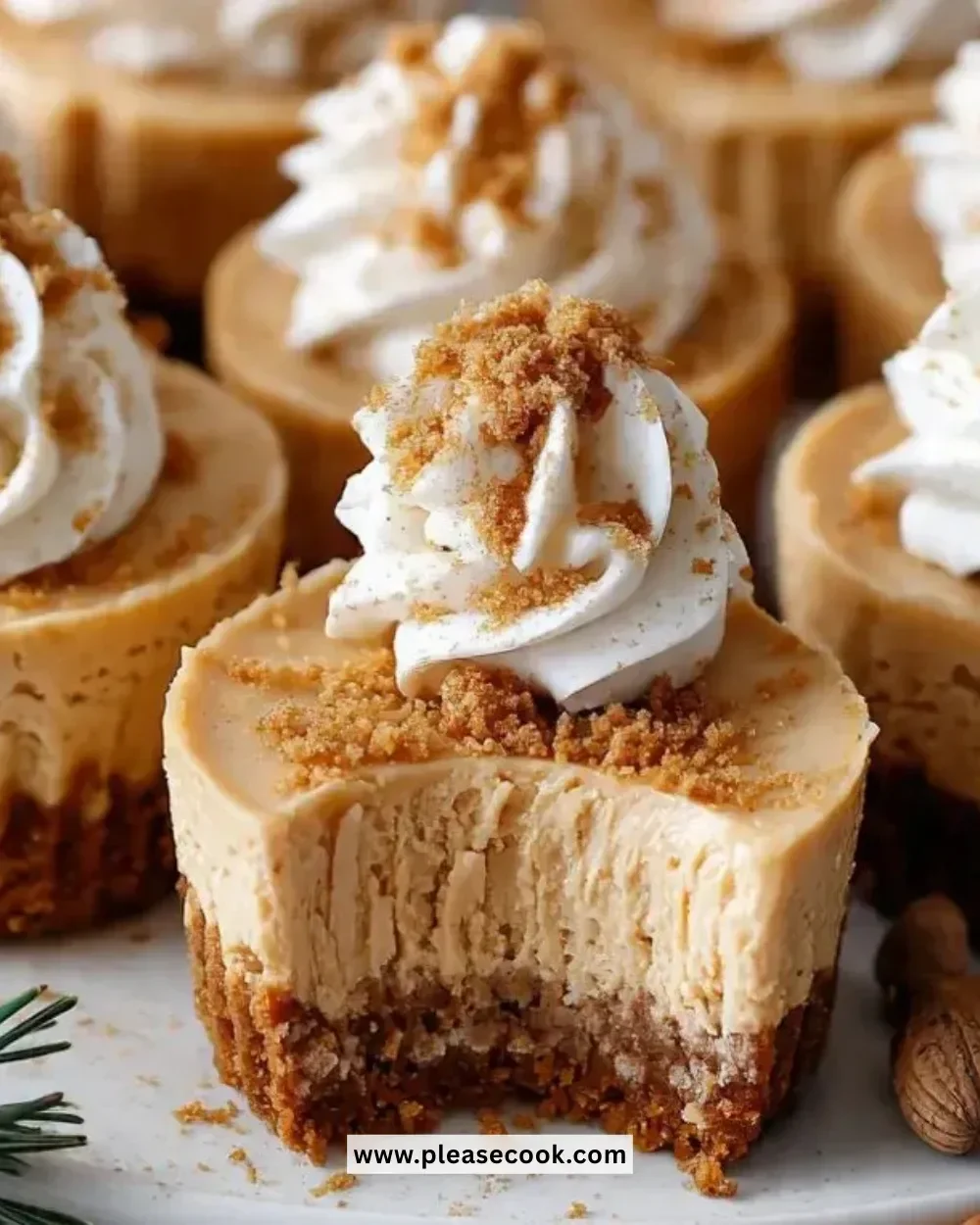 Gingerbread Cheesecake Cups topped with whipped cream and ginger spice.