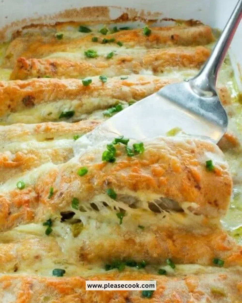 Healthy white chicken enchiladas topped with fresh cilantro and cheese.