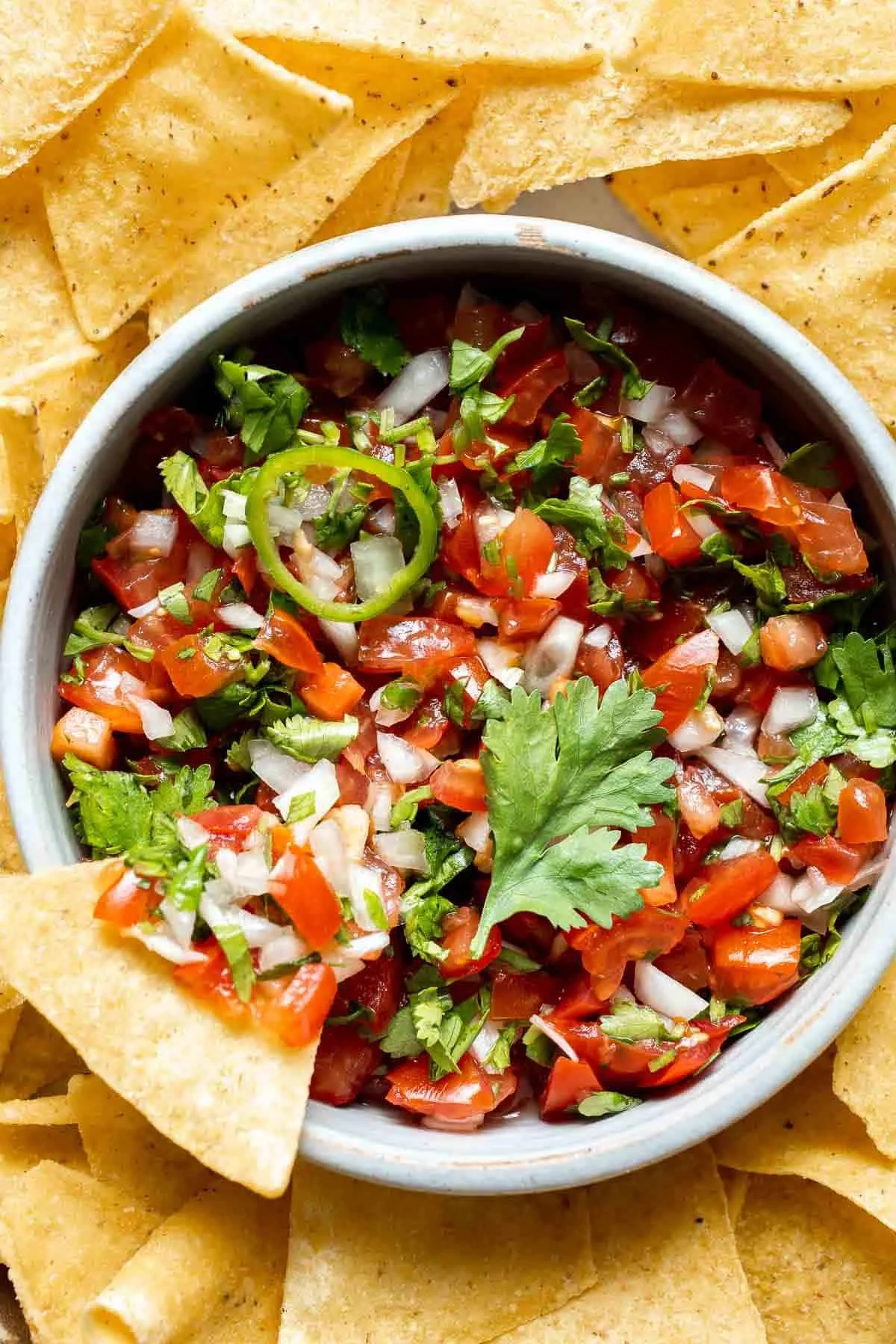 Close-up of a rooster's beak showcasing its unique features.