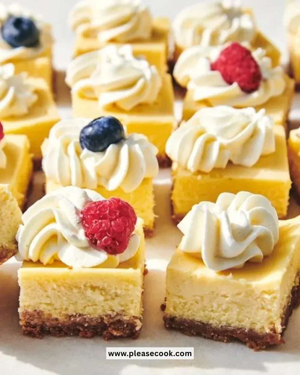 Delicious Vanilla Bean Cheesecake Bars topped with fresh berries.