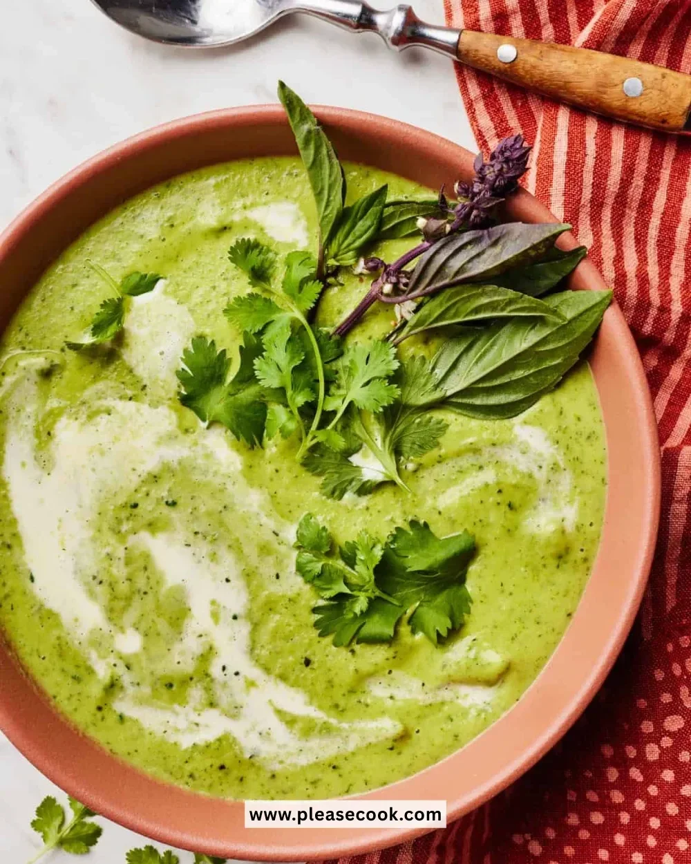 Bowl of delicious creamy zucchini soup garnished with herbs and croutons.