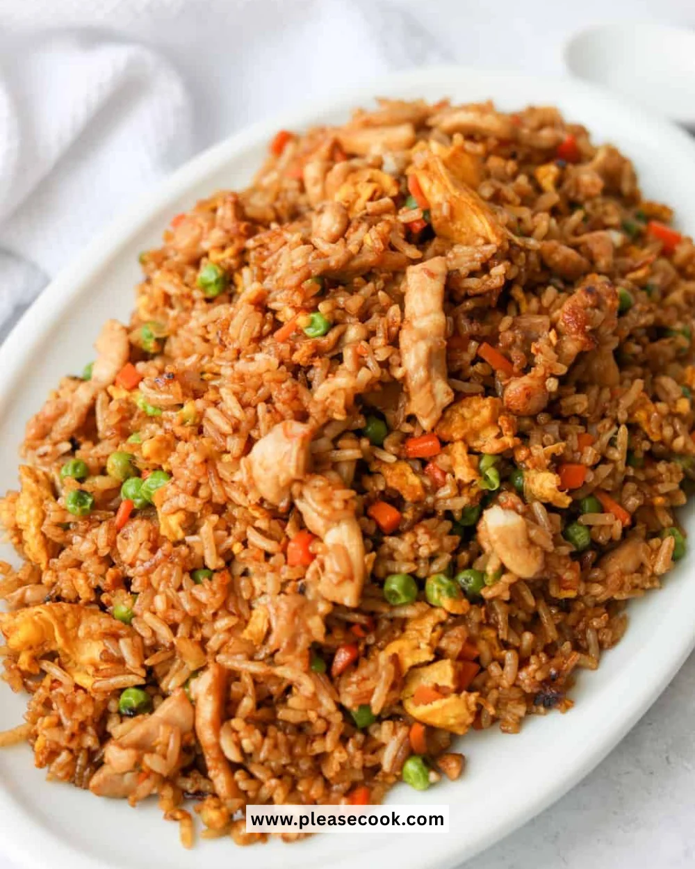 Delicious plate of Chicken Fried Rice garnished with vegetables and chicken pieces.