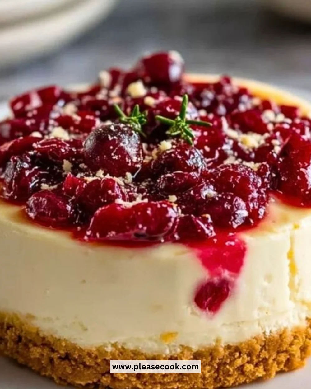 Slice of Cranberry White Chocolate Cheesecake topped with fresh cranberries