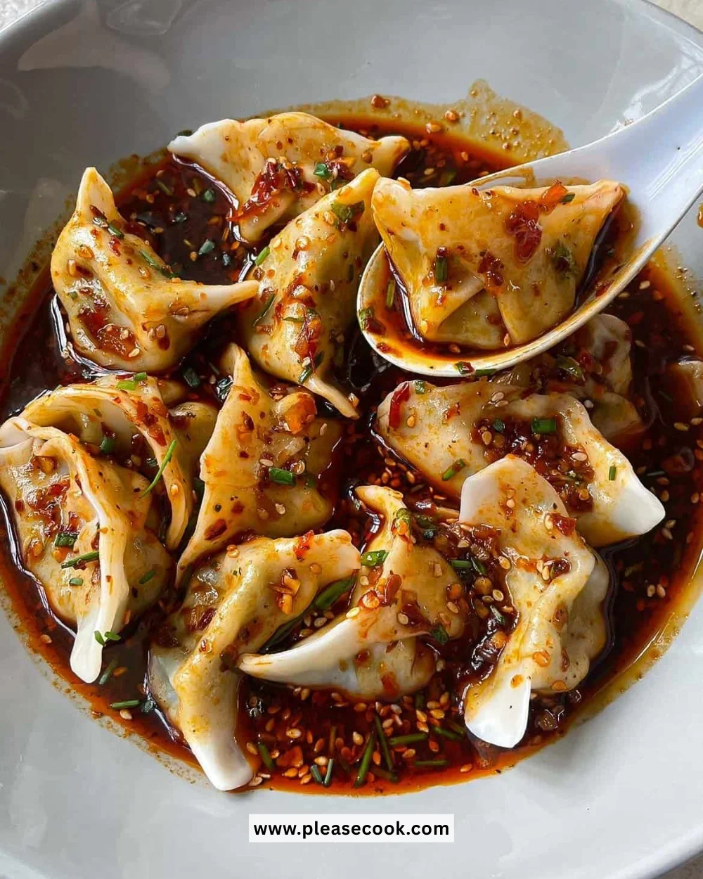 Delicious dumpling sauce served with various types of dumplings