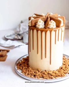 Deliciously layered Lotus Biscoff Cake topped with crumbled cookies.