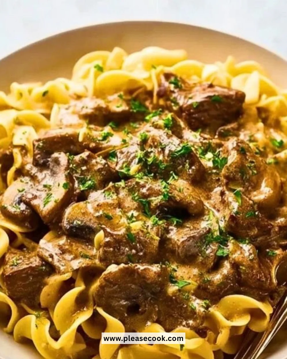 Delicious Instant Pot beef stroganoff served in a bowl with noodles