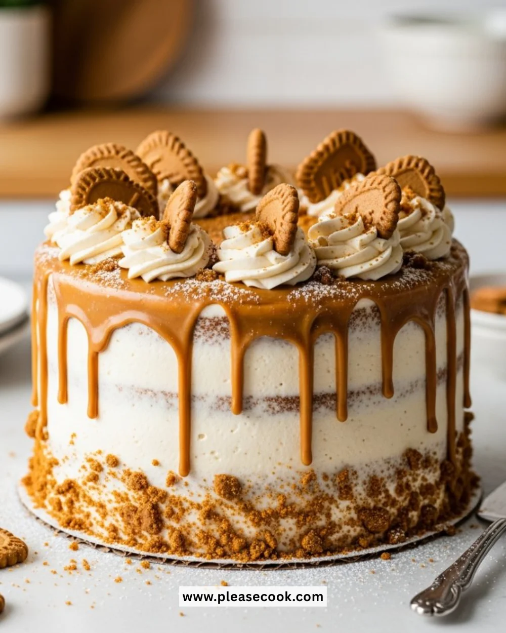 Delicious Biscoff Cookie Butter Cake on a decorative plate