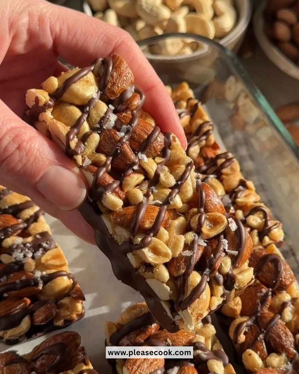 Delicious Dark Chocolate and Sea Salt Nut Bars for a healthy snack