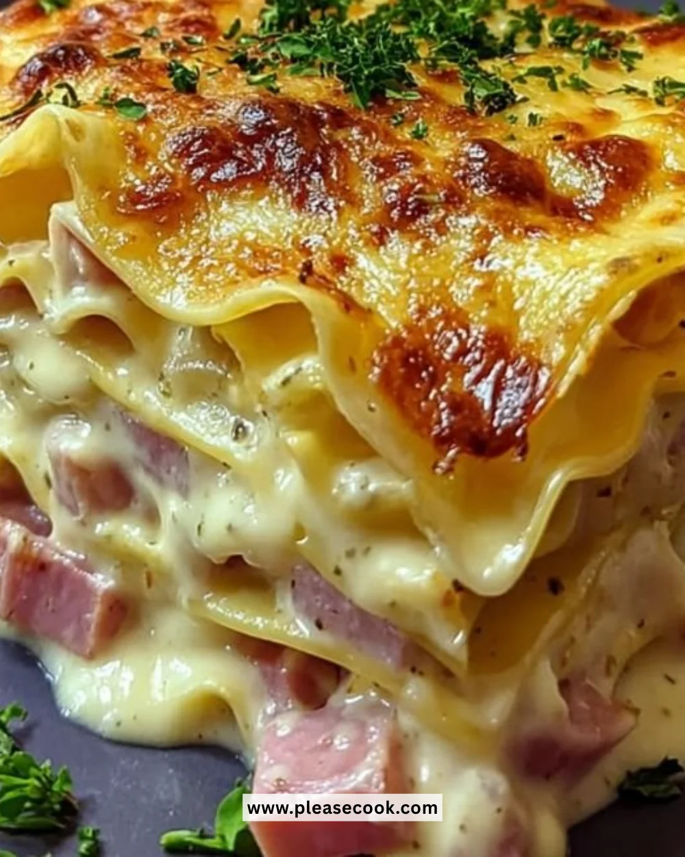 Delicious Ham & Cheese Lasagna with creamy Mornay sauce baked to perfection