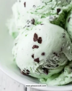 Delicious Mint Chocolate Chip Ice Cream in a bowl with mint leaves