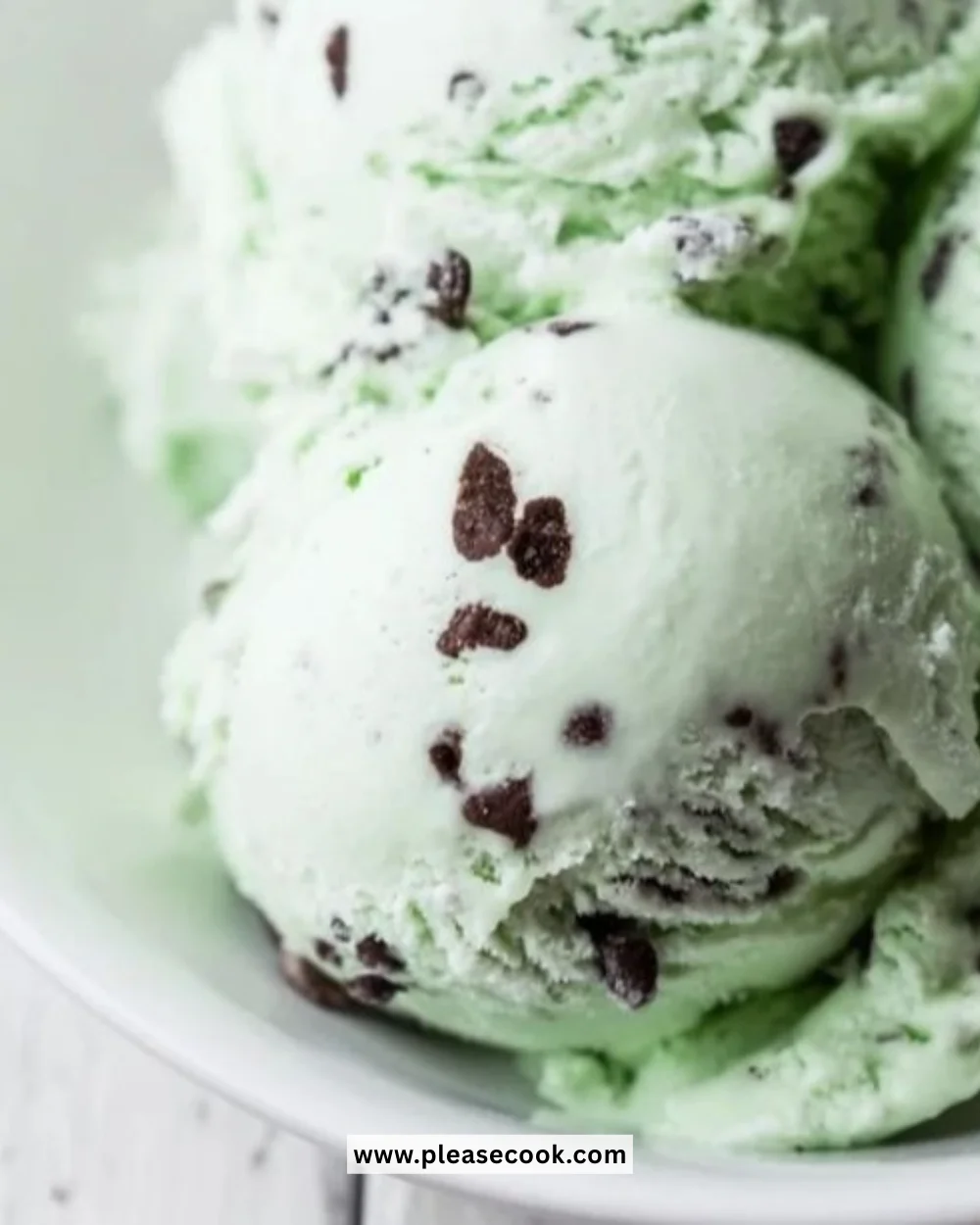 Delicious Mint Chocolate Chip Ice Cream in a bowl with mint leaves