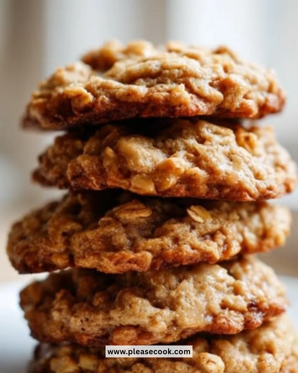 Peanut Butter Banana Breakfast Cookies on a plate