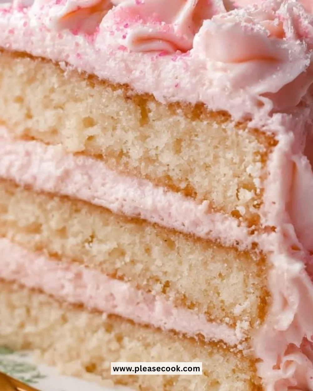 Slice of luxurious Pink Champagne Cake topped with pink frosting and sprinkles