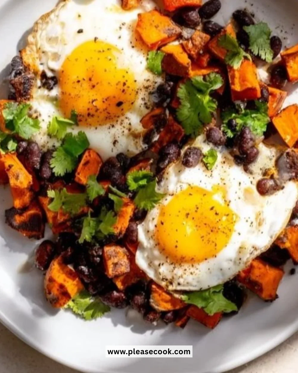 Sweet Potato Black Bean Hash served in a bowl with fresh herbs