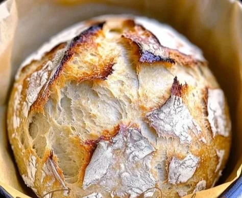 Freshly baked Dutch oven no knead crusty bread with a golden crust.