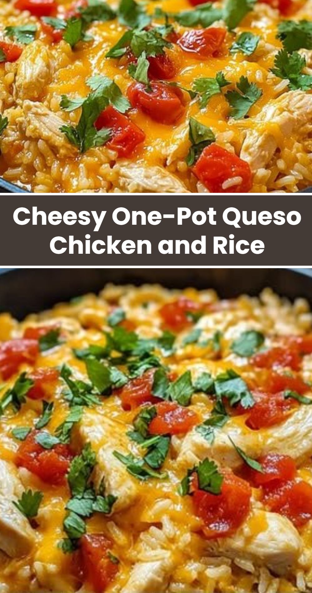 Cheesy One Pot Queso Chicken And Rice