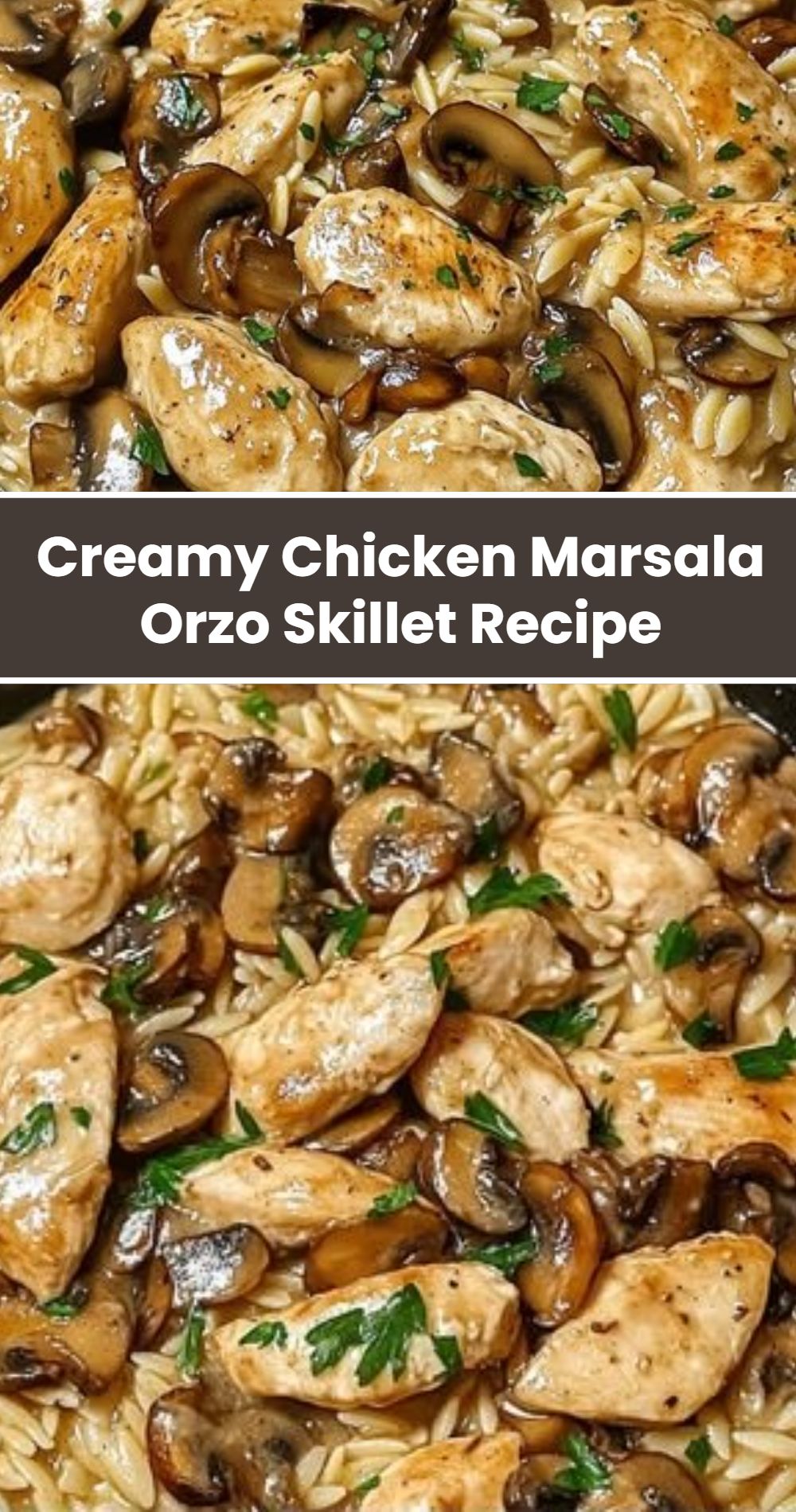 Creamy Chicken Marsala Orzo Skillet Recipe