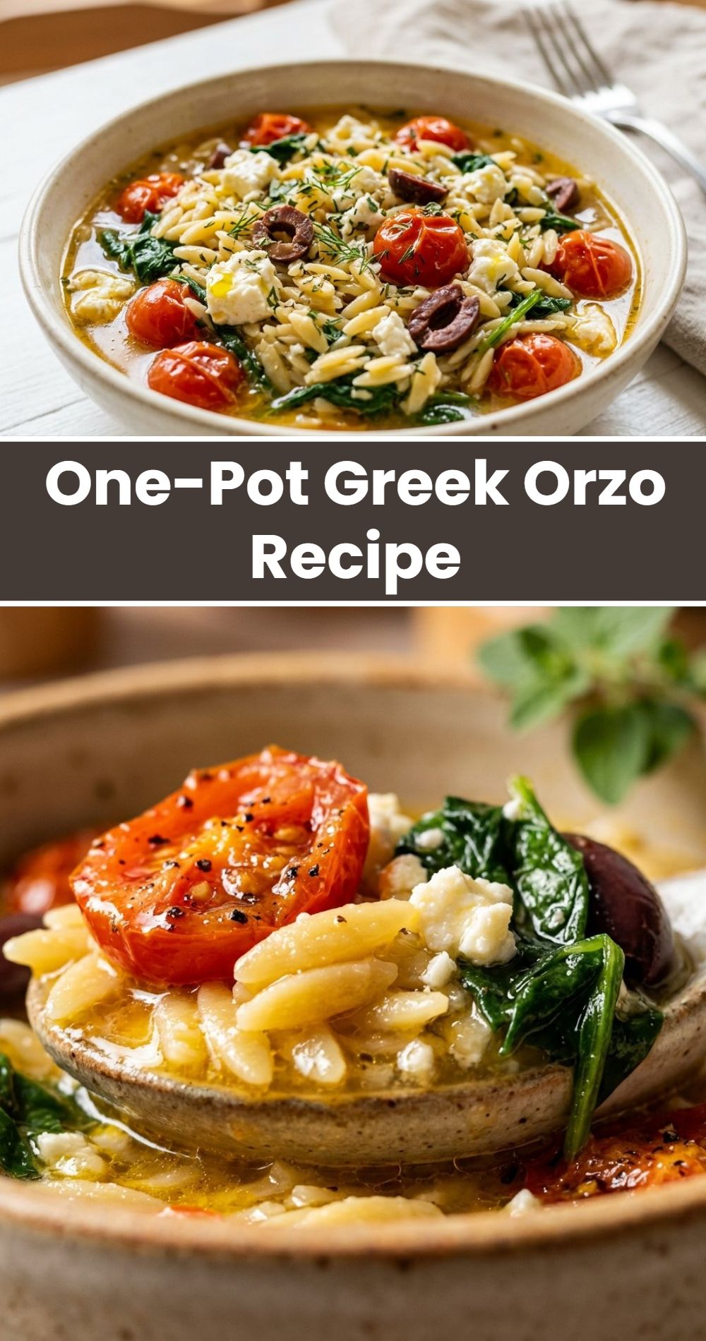 One Pot Greek Orzo Recipe