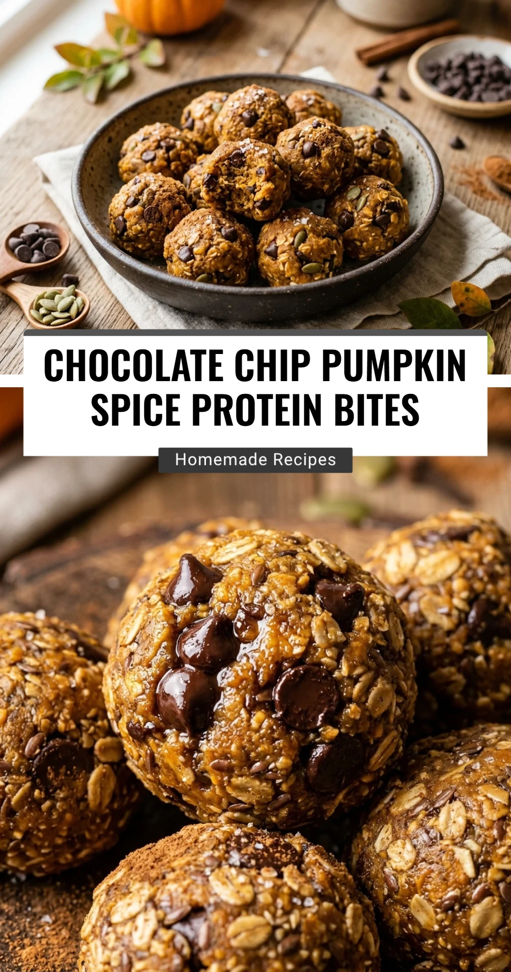 Chocolate Chip Pumpkin Spice Protein Bites