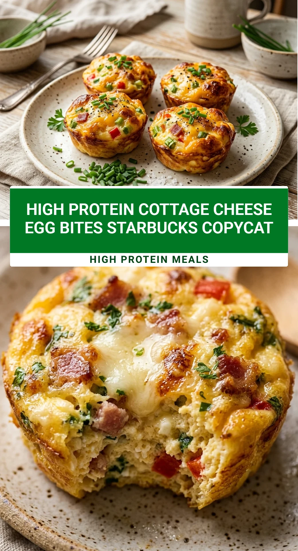 High Protein Cottage Cheese Egg Bites Starbucks Copycat