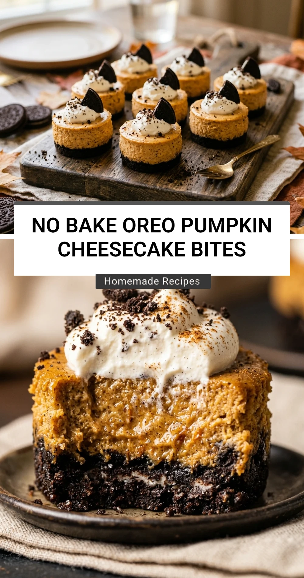 No Bake Oreo Pumpkin Cheesecake Bites