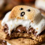 Air Fryer Halloween Ghost S'mores