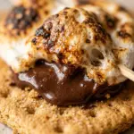 Air Fryer S'mores
