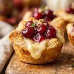 Fall Cranberry Brie Bites Appetizer Recipe